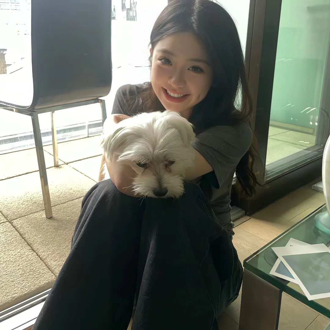 黑道小子巨星梦